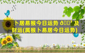 卜居易猴今日运势 🌳 及财运(属猴卜易居今日运势)